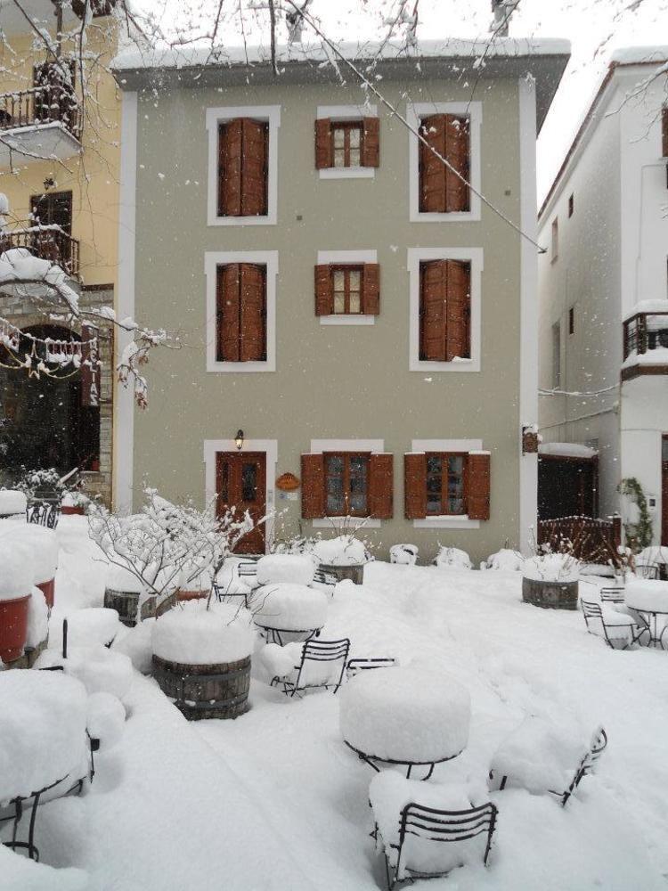 Hotel Filoxenia Portaria  Exterior photo