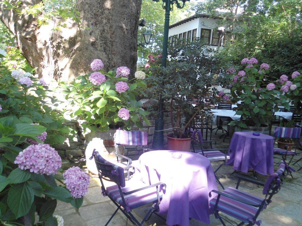 Hotel Filoxenia Portaria  Exterior photo